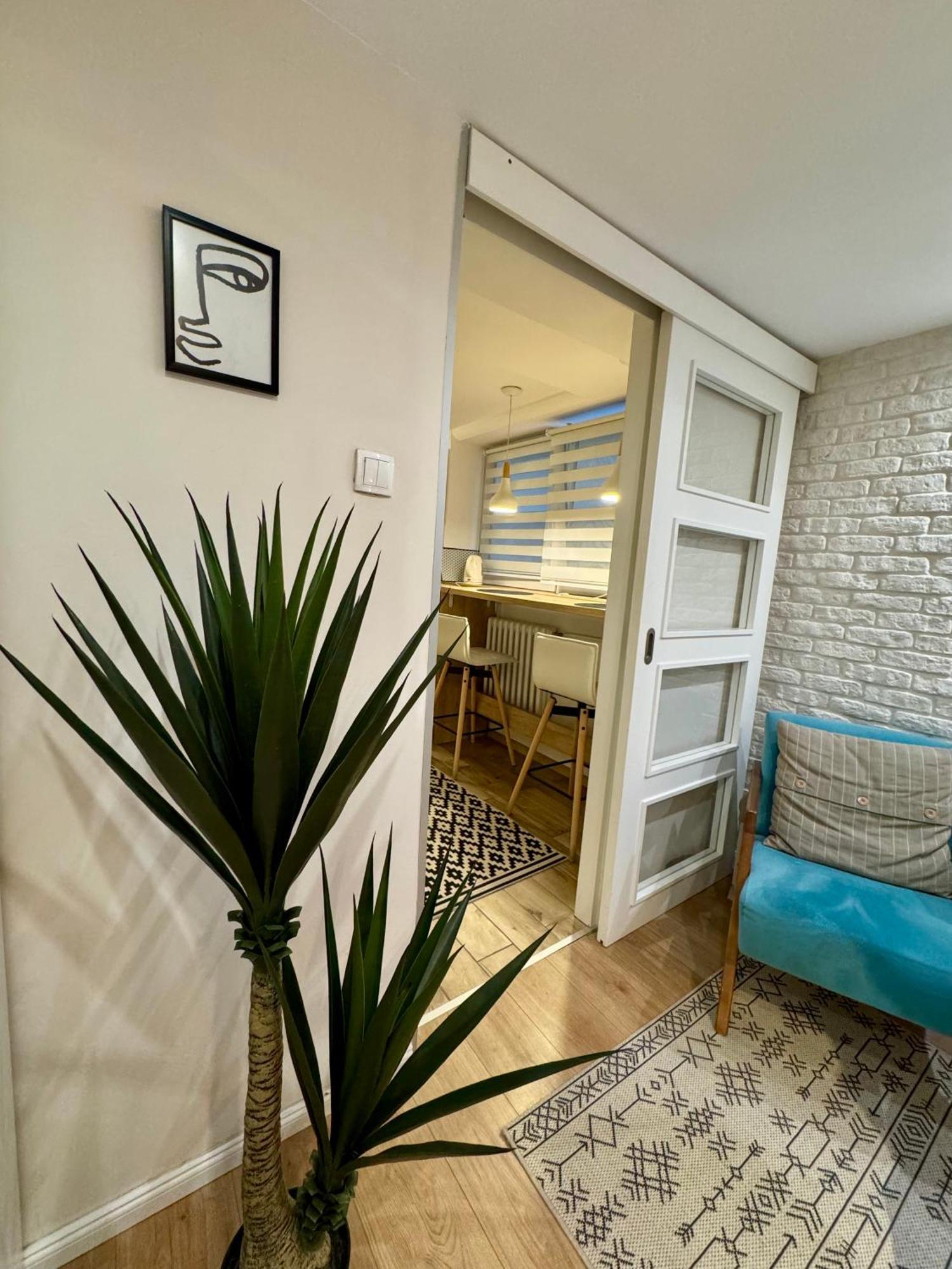 Apartamento Cozy Haven Belgrado Exterior foto